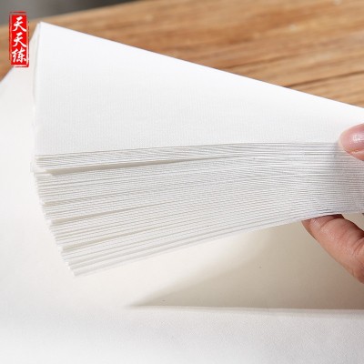 天天练 4开8开生宣熟宣宣纸 入门书法绘画练习宣纸 白色书法宣纸